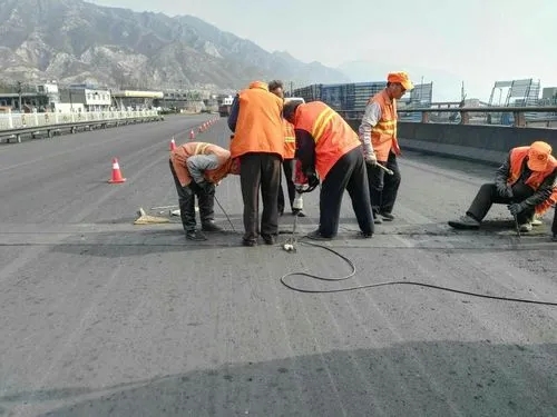 海伦道路桥梁病害治理